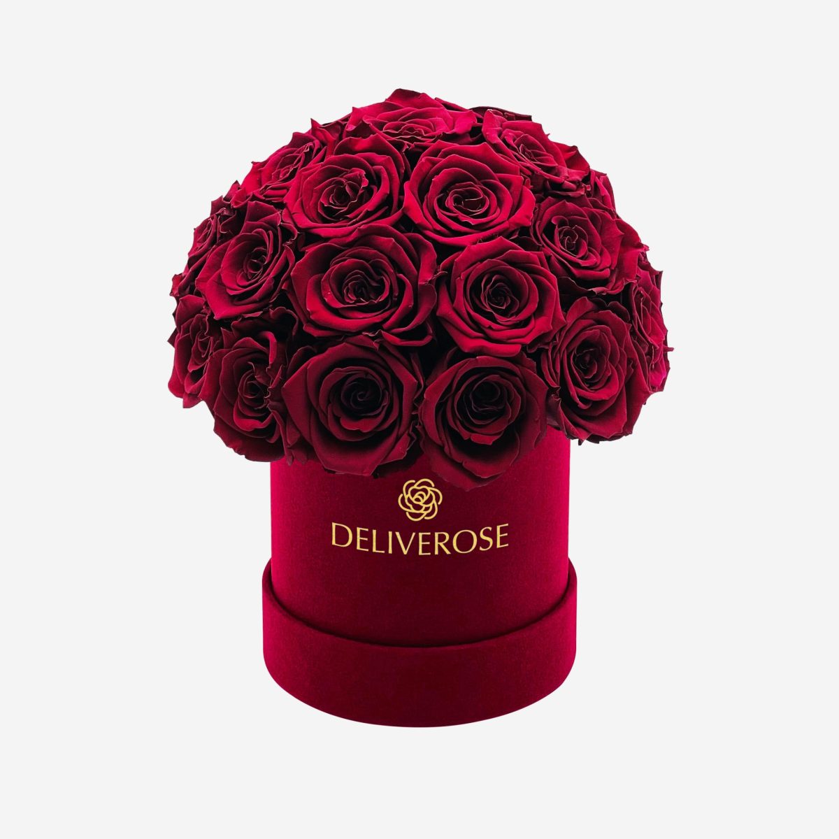 Elegant Bordeaux Suede Superdome Box with Burgundy Roses